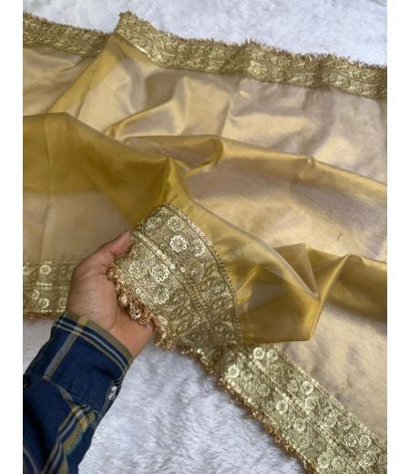 DB872 Beautiful Soft Banarasi Tissue Silk Zari Weaving Sarees with Handwork Lace Border.