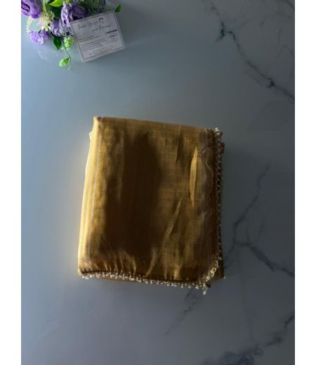 DB1005 Beautiful Soft Tissue Organza Zari Weaving Celebrity Inspired Sarees.